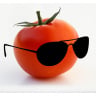Classy Tomato