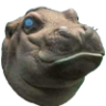 Hippo_PRIME