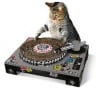 catskratch