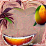 mangopositive